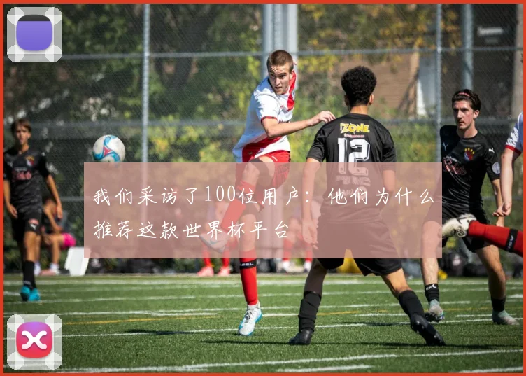 我们采访了100位用户：他们为什么推荐这款世界杯平台