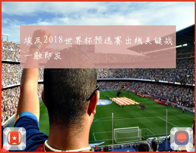 埃及2018世界杯预选赛出线关键战一触即发